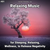 #01 Relaxing Music for Sleeping, Relaxing, Wellness, to Release Negativity