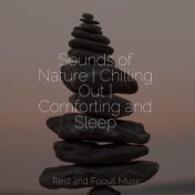 Sounds of Nature | Chilling Out | Comforting and Sleep