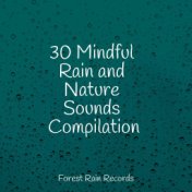 30 Mindful Rain and Nature Sounds Compilation