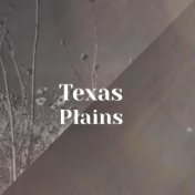 Texas Plains