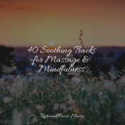 40 Soothing Tracks for Massage & Mindfulness