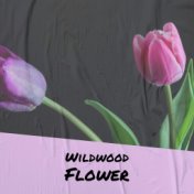 Wildwood Flower