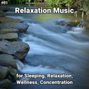 #01 Relaxation Music for Sleeping, Relaxation, Wellness, Concentration