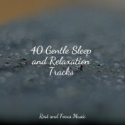 40 Gentle Sleep and Relaxation Tracks