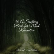 30 A Soothing Beats for Mind Relaxation