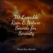 30 Loopable Rain & Nature Sounds for Serenity