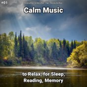 #01 Calm Music to Relax, for Sleep, Reading, Memory