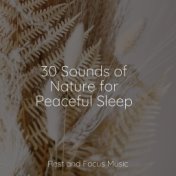 30 Sounds of Nature for Peaceful Sleep