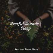 Restful Sounds | Sleep