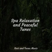 Spa Relaxation and Peaceful Tunes