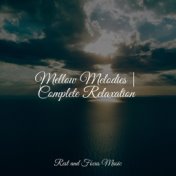 Mellow Melodies | Complete Relaxation