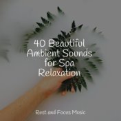 40 Beautiful Ambient Sounds for Spa Relaxation