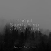 Tranquil Sounds | Sleep and Meditation