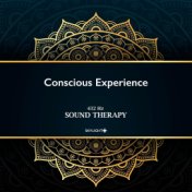 Conscious Experience