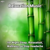 #01 Relaxation Music for Night Sleep, Relaxation, Wellness, to Stop Headache