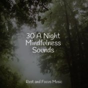 30 A Night Mindfulness Sounds
