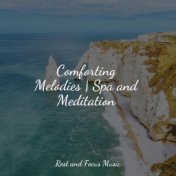 Comforting Melodies | Spa and Meditation