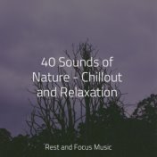 40 Sounds of Nature - Chillout and Relaxation