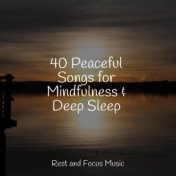 40 Peaceful Songs for Mindfulness & Deep Sleep