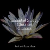 Essential Sleepy Classical Classics