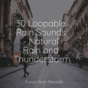 30 Loopable Rain Sounds - Natural Rain and Thunderstorms