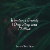 Wondrous Sounds | Deep Sleep and Chillout