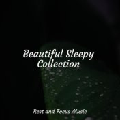 Beautiful Sleepy Collection