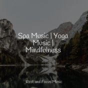 Spa Music | Yoga Music | Mindfulness