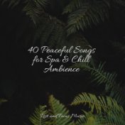 40 Peaceful Songs for Spa & Chill Ambience