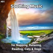 #01 Soothing Music for Napping, Relaxing, Reading, Cats & Dogs