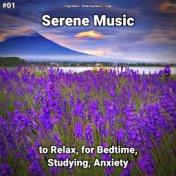 #01 Serene Music to Relax, for Bedtime, Studying, Anxiety