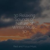 30 Relaxing Sounds of Nature of Winter Music 30