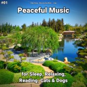 #01 Peaceful Music for Sleep, Relaxing, Reading, Cats & Dogs