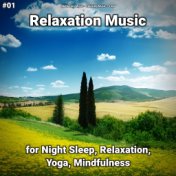 #01 Relaxation Music for Night Sleep, Relaxation, Yoga, Mindfulness