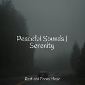 Peaceful Sounds | Serenity