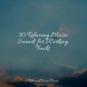 30 Relaxing Music Sounds for Working Tracks