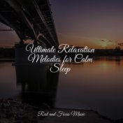 Ultimate Relaxation Melodies for Calm Sleep