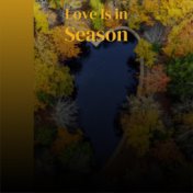 Love Is in Season