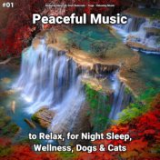 #01 Peaceful Music to Relax, for Night Sleep, Wellness, Dogs & Cats