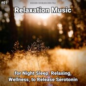 #01 Relaxation Music for Night Sleep, Relaxing, Wellness, to Release Serotonin