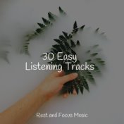 30 Easy Listening Tracks