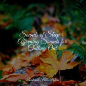 Sounds of Sleep | Affirming Sounds for Chilling Out