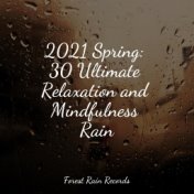 2021 Spring: 30 Ultimate Relaxation and Mindfulness Rain