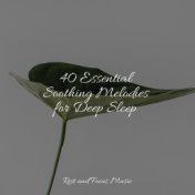 40 Essential Soothing Melodies for Deep Sleep