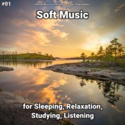 #01 Soft Music for Sleeping, Relaxation, Studying, Listening