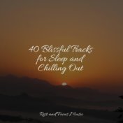 40 Blissful Tracks for Sleep and Chilling Out