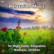 #01 Relaxation Music for Night Sleep, Relaxation, Wellness, Children