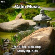 #01 Calm Music for Sleep, Relaxing, Studying, Kids