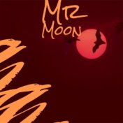 Mr Moon