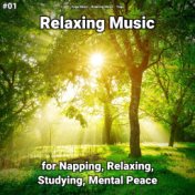 #01 Relaxing Music for Napping, Relaxing, Studying, Mental Peace